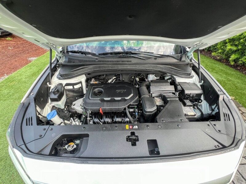 2019 Hyundai Santa Fe SEL Wilmington NC