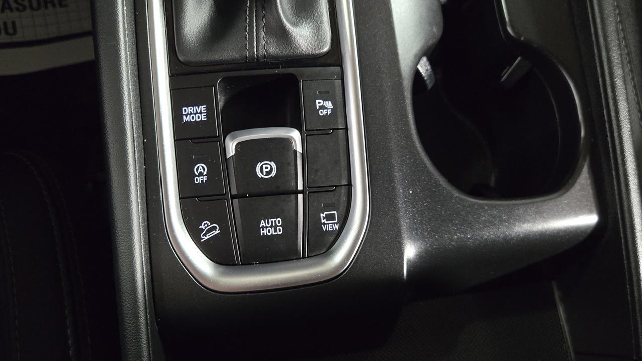 2019 Hyundai Santa Fe Ultimate Jersey City NJ