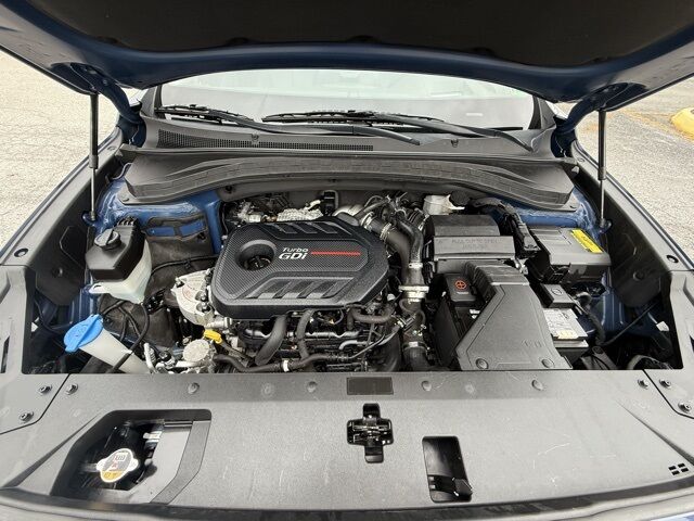2019 Hyundai Santa Fe Ultimate San Clemente CA
