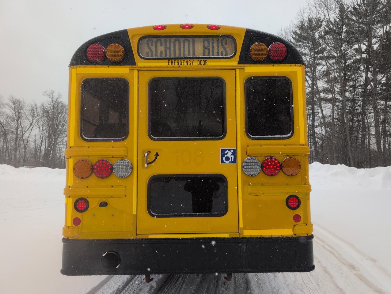 2019 IC INTERNATIONAL 3000