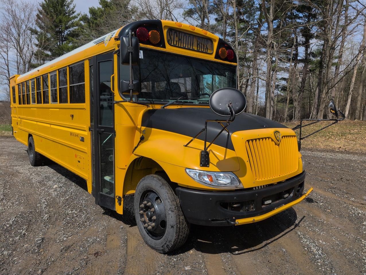 2019 IC INTERNATIONAL 3000