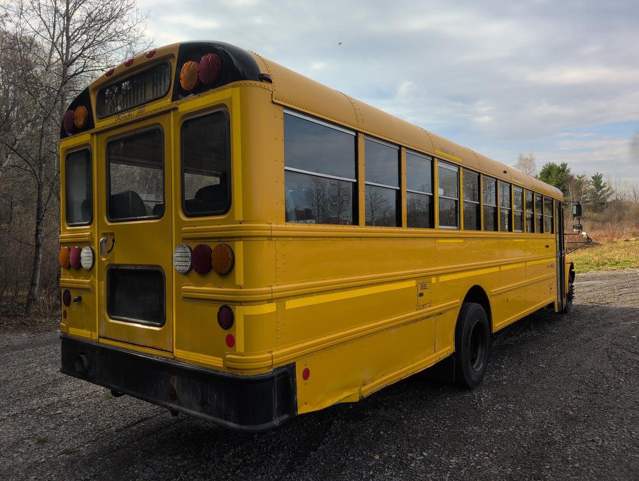 2019 IC INTERNATIONAL CE3000