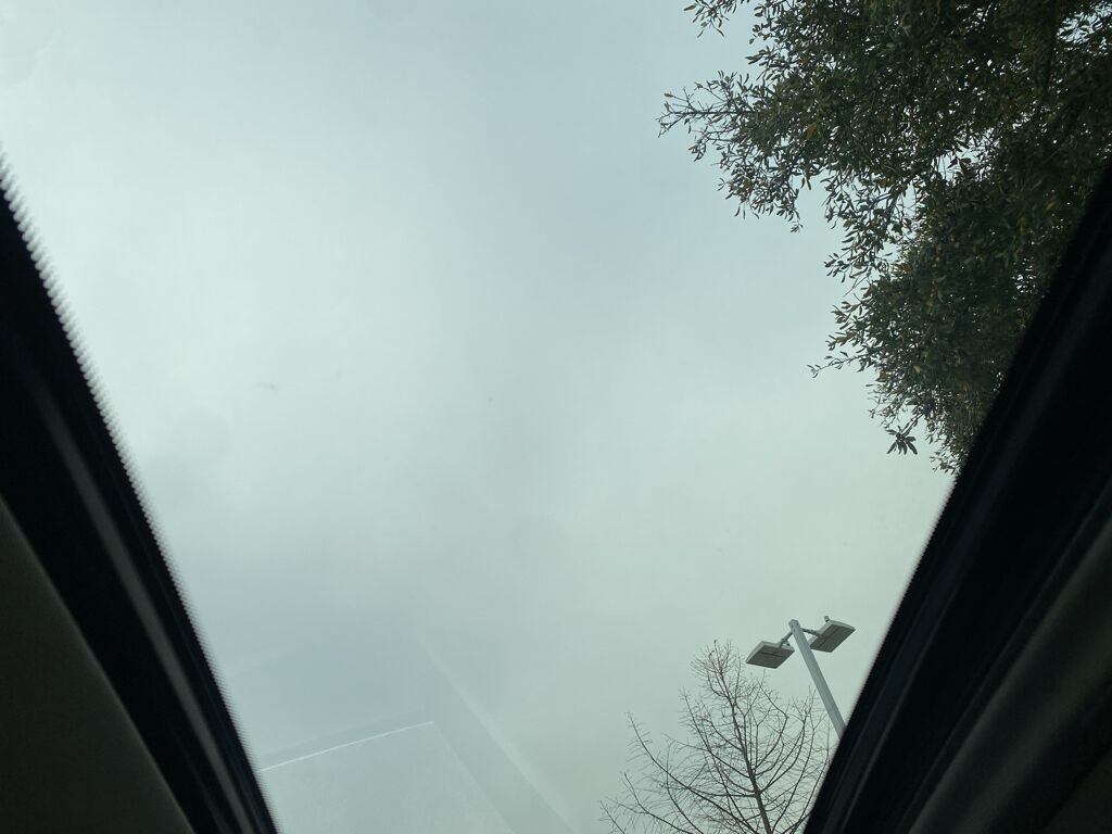 2019 INFINITI Q50 3.0t LUXE Wilmington NC