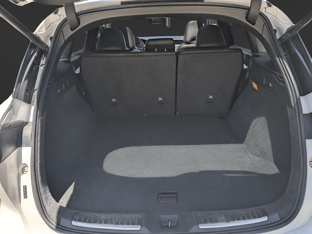 2019 INFINITI QX50 ESSENTIAL Saint Augustine FL