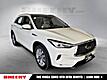 2019 INFINITI QX50 LUXE