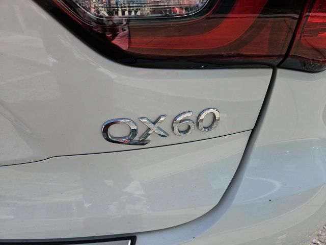 2019 INFINITI QX60 LUXE Jacksonville FL