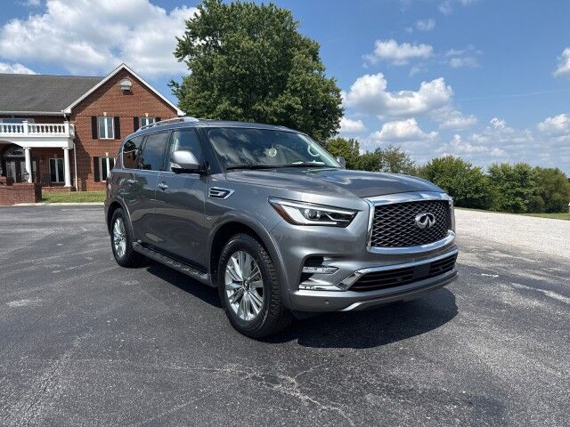 2019 INFINITI QX80