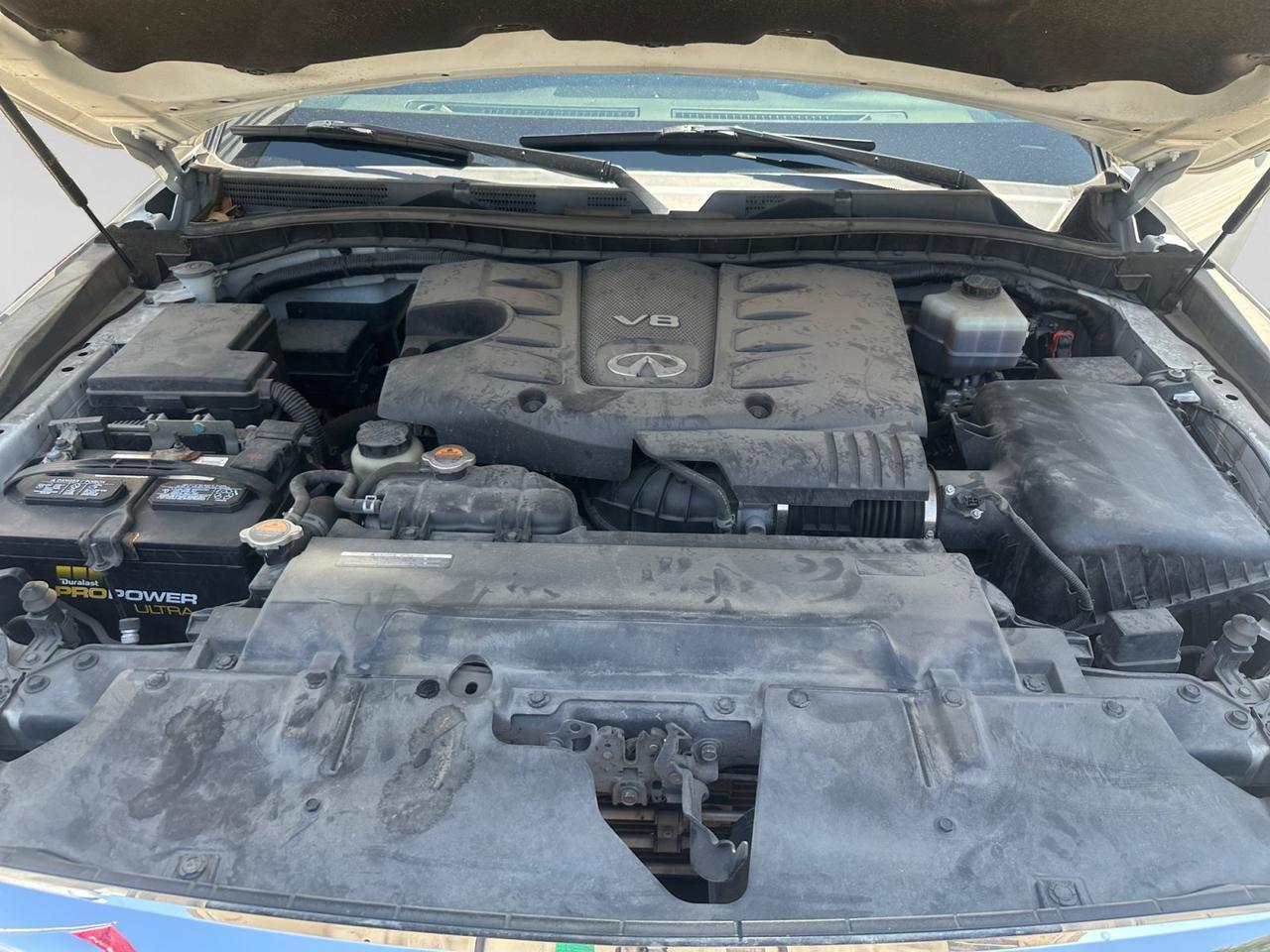 2019 INFINITI QX80 LUXE  Selma TX