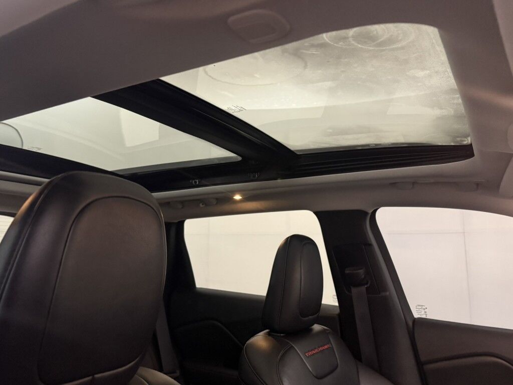 2019 Jeep Cherokee Trailhawk 4x4 Maumee OH