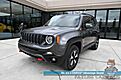 2019 Jeep Renegade Trailhawk