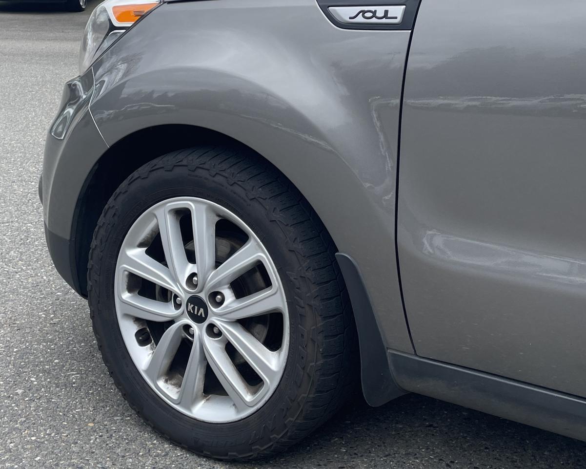 2019 Kia Soul + Wagon 4D