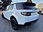 2019 Land Rover Discovery Sport SE Whitehall PA