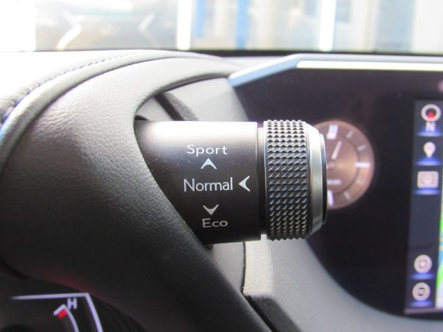 2019 Lexus ES 300h Luxury Plano TX