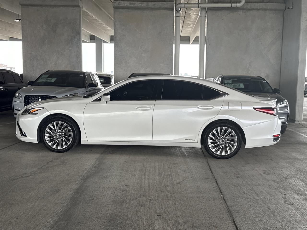 2019 Lexus ES