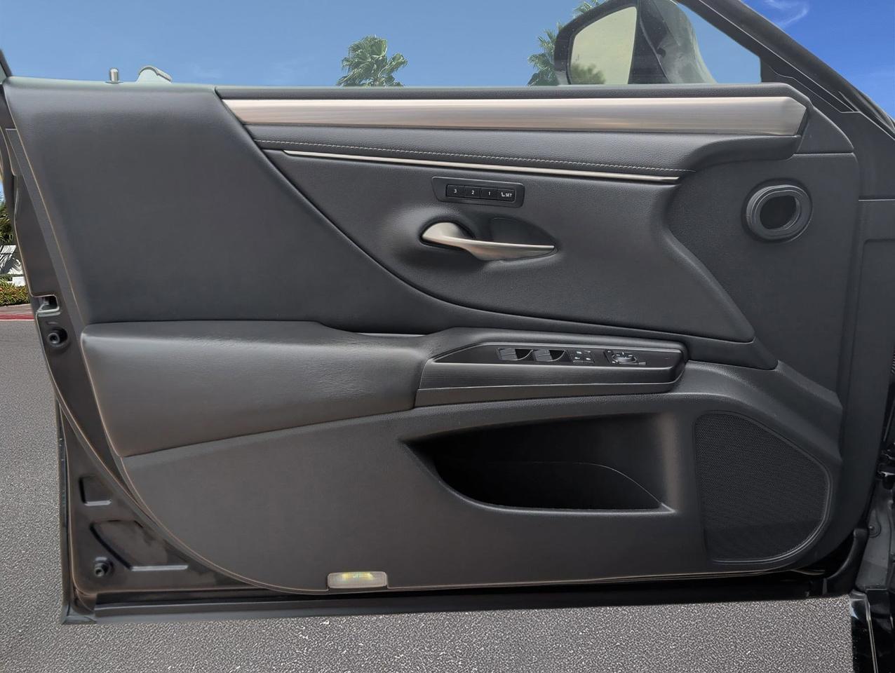 2019 Lexus ES 350 F Sport San Juan TX