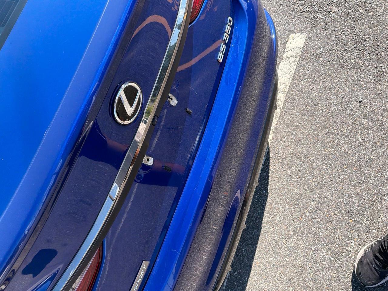 2019 Lexus ES 350 F Sport Ashland VA