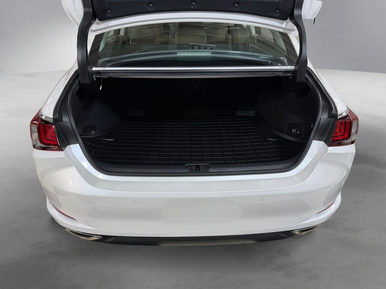 2019 Lexus ES 350 Ultra Luxury Annapolis MD