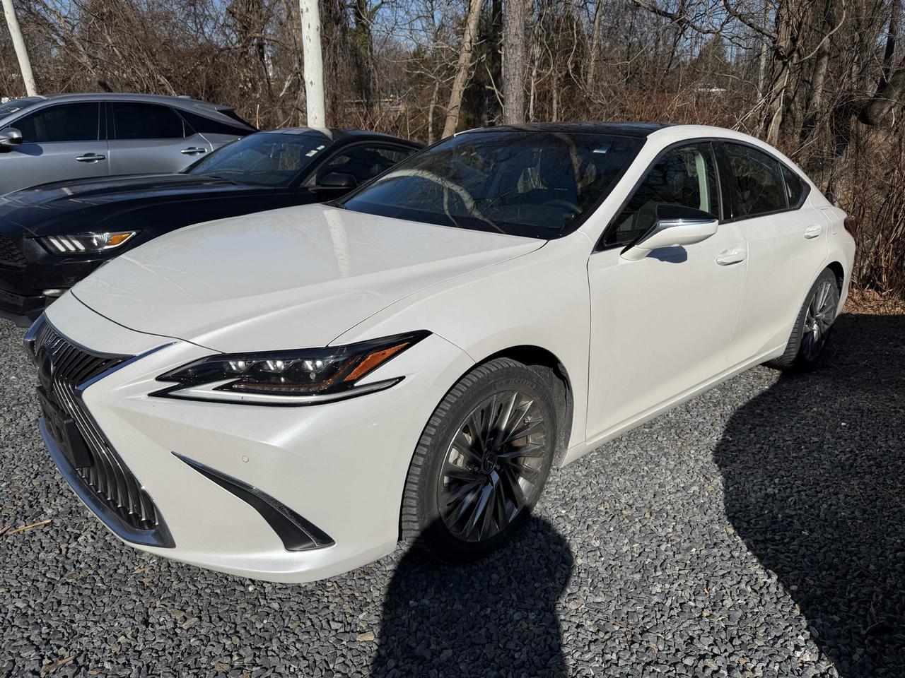 2019 Lexus ES 350 Ultra Luxury Annapolis MD