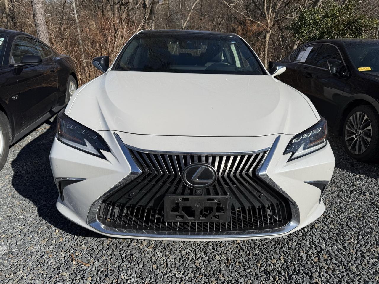 2019 Lexus ES 350 Ultra Luxury Annapolis MD