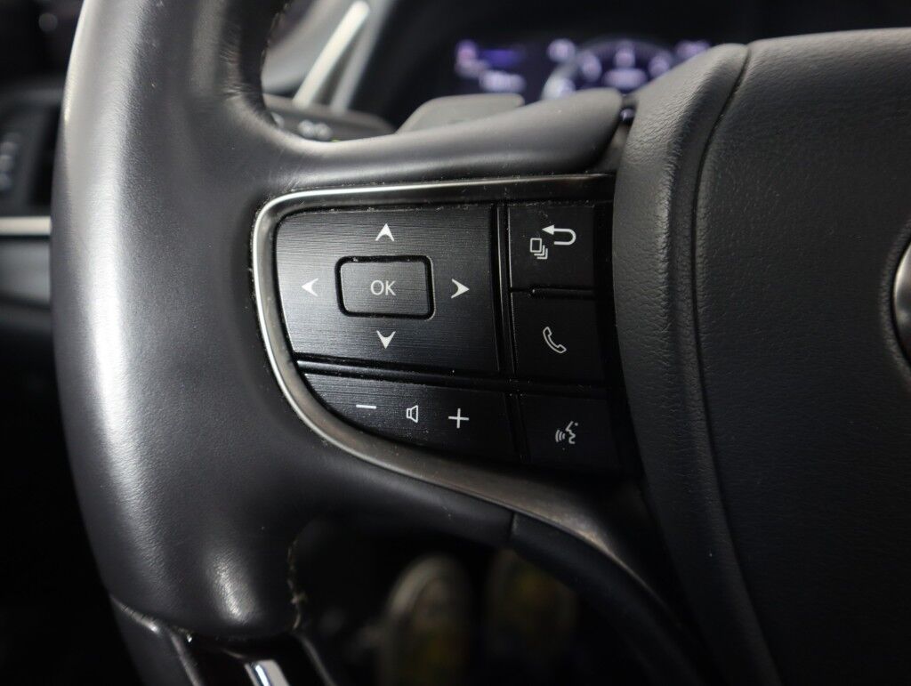 2019 Lexus ES 350 w/Nav/Mark Levinson/Pano Roof Maumee OH