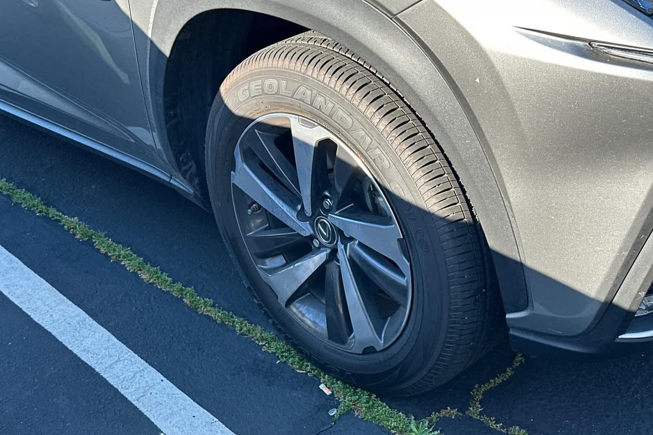 2019 Lexus NX Roseville CA