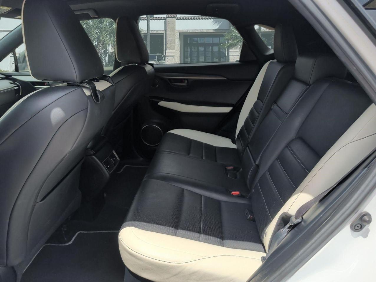 2019 Lexus NX San Juan TX