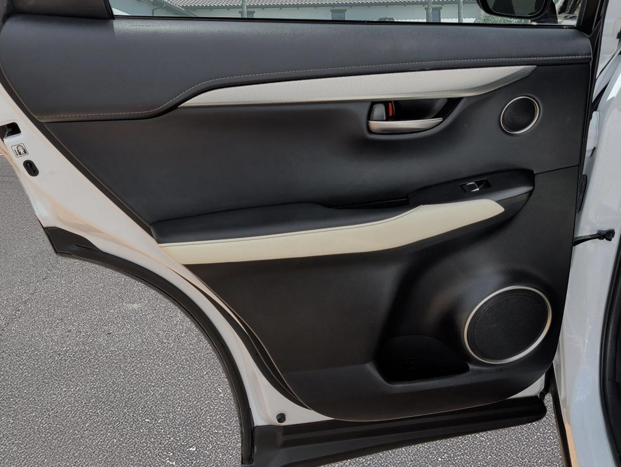 2019 Lexus NX San Juan TX