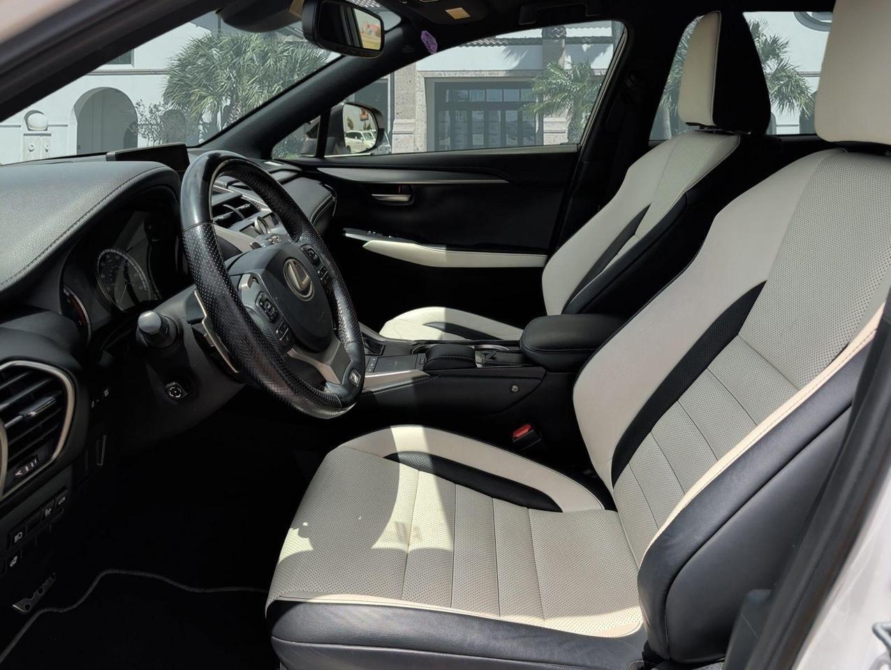 2019 Lexus NX San Juan TX