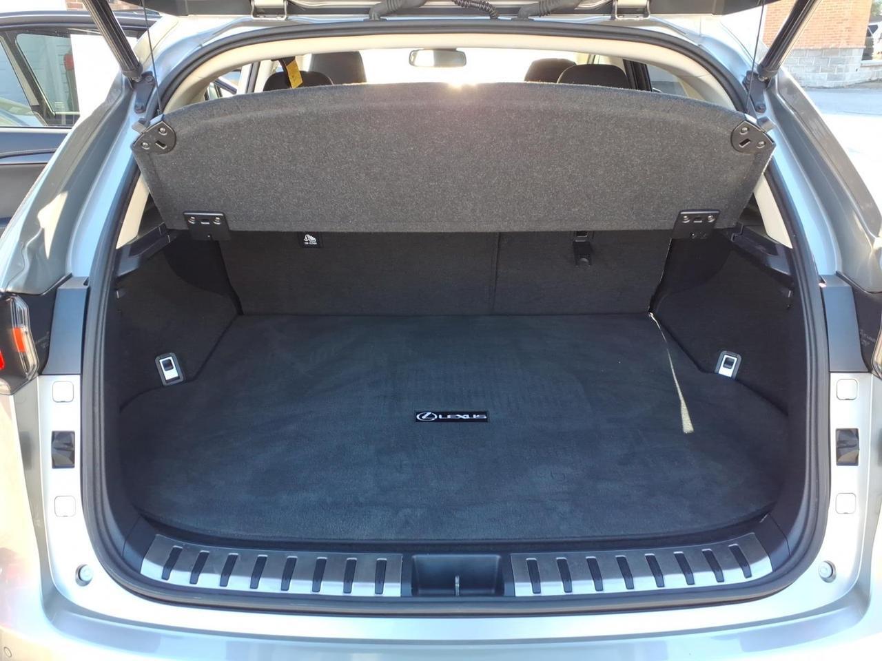 2019 Lexus NX 300 Base Roanoke VA