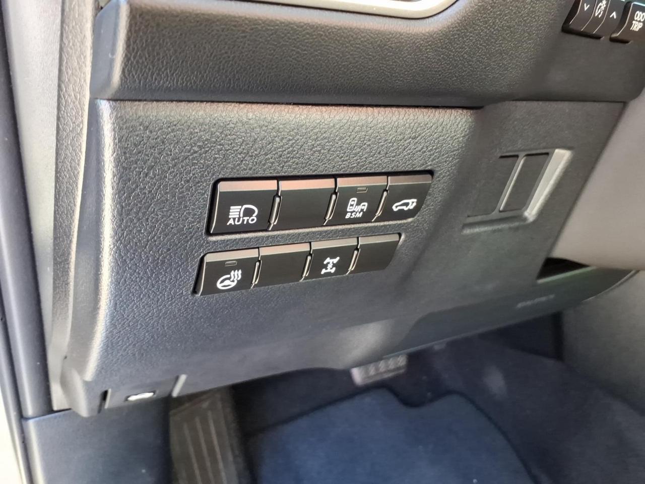 2019 Lexus NX 300 Base Roanoke VA