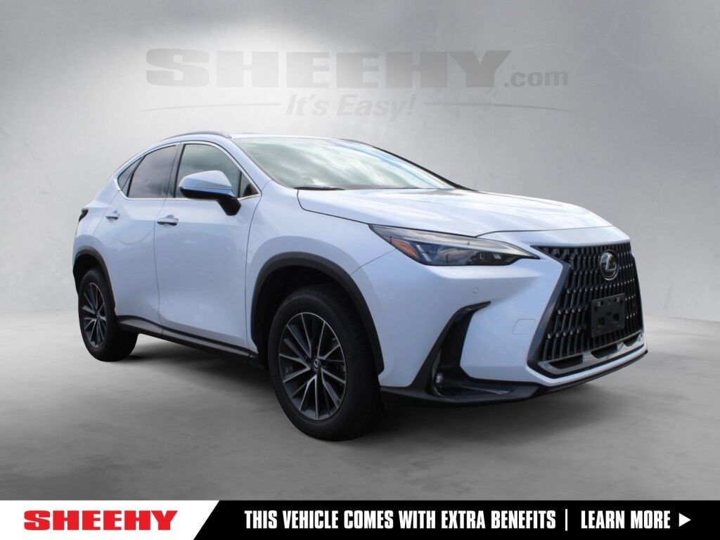 2019 Lexus NX 300 Base Richmond VA