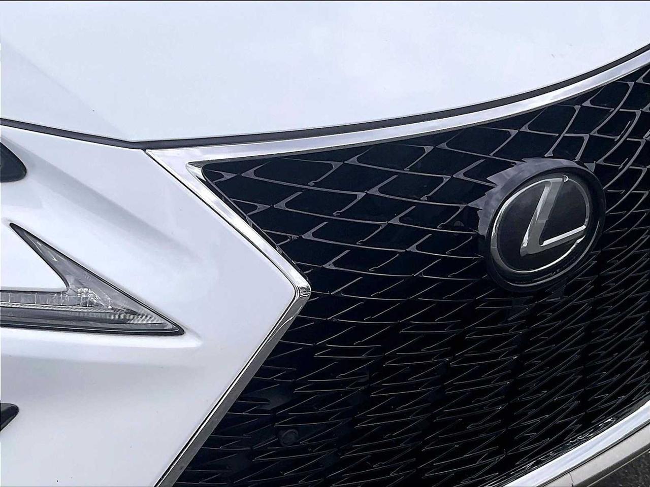 2019 Lexus NX 300 F SPORT Roseville CA