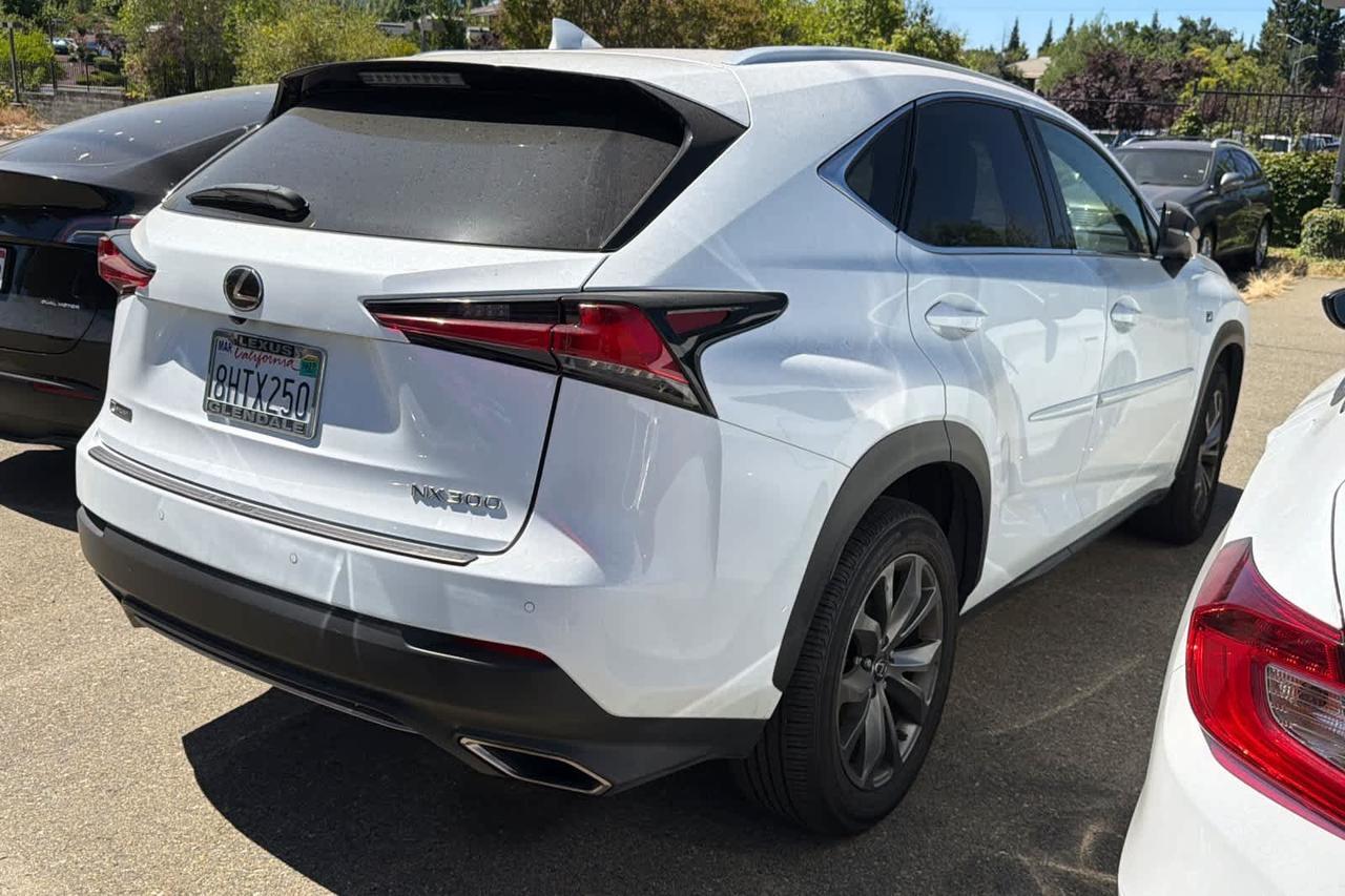 2019 Lexus NX 300 F SPORT