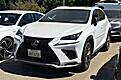 2019 Lexus NX 300 F SPORT