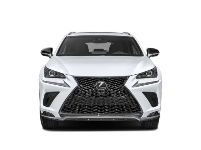 2019 Lexus NX 300 F Sport San Juan TX