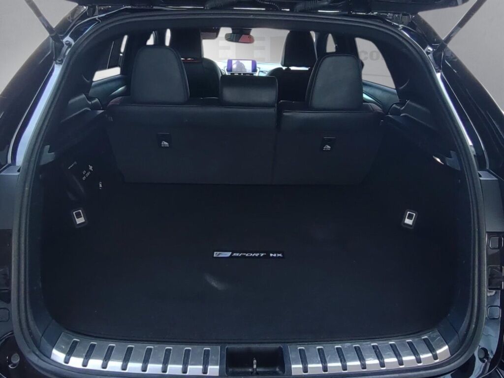 2019 Lexus NX 300 F Sport Richmond VA