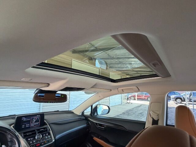 2019 Lexus NX 300 Premium Package FWD Gaston SC