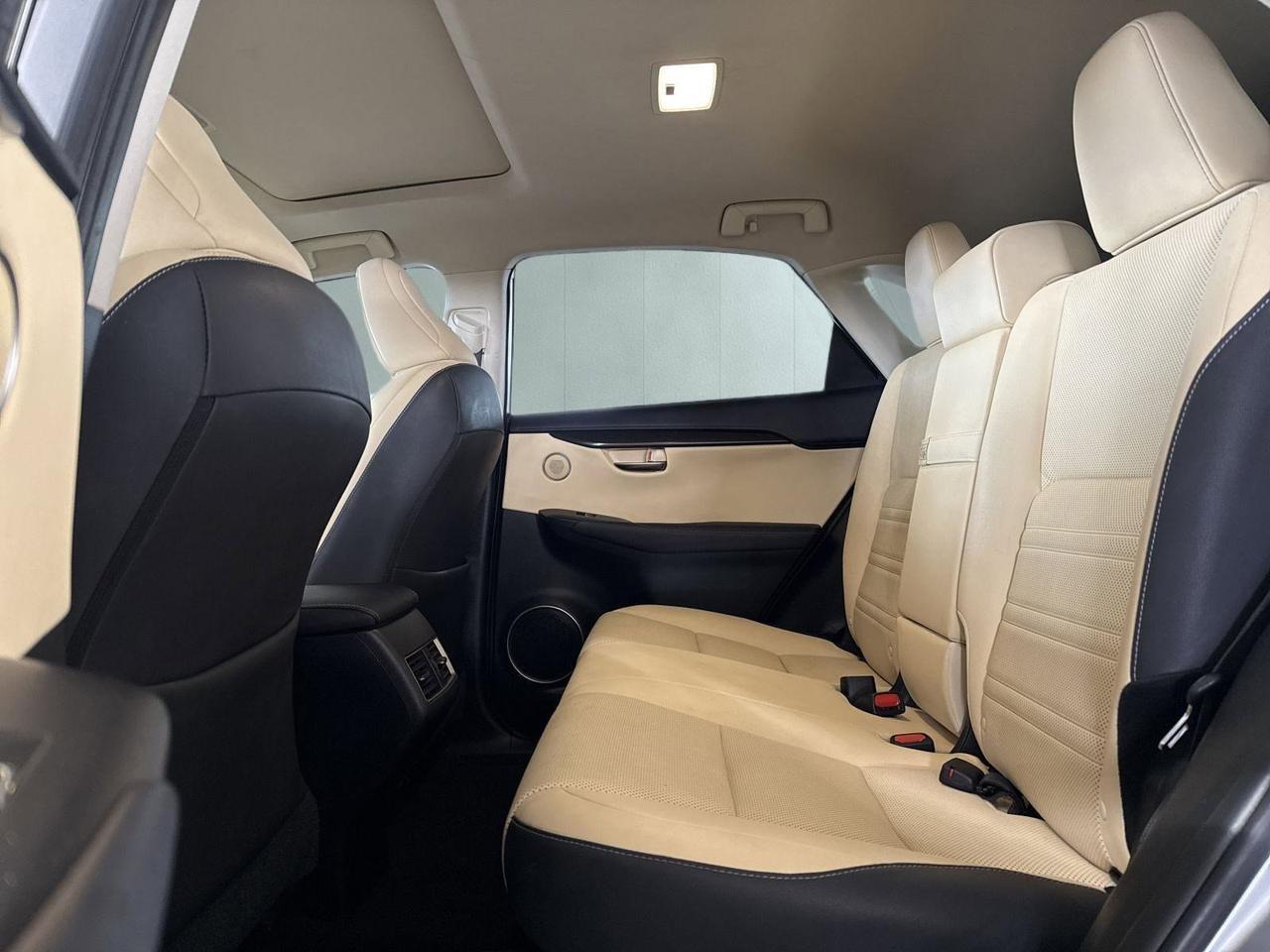 2019 Lexus NX 300 San Antonio TX