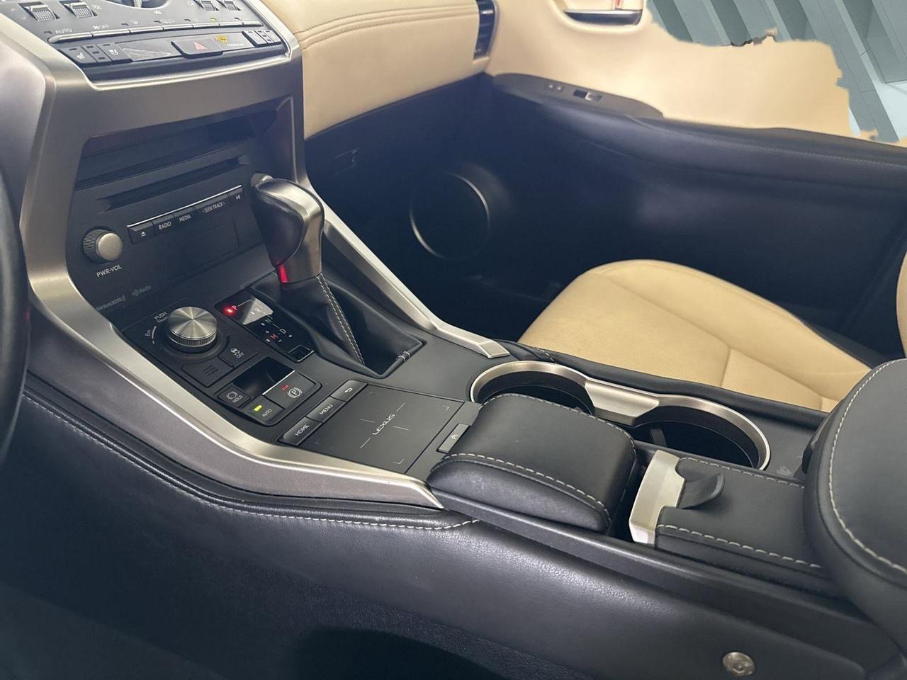 2019 Lexus NX 300 San Antonio TX