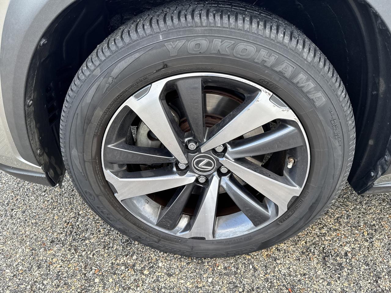 2019 Lexus NX 300 San Antonio TX