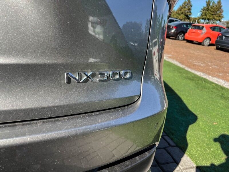 2019 Lexus NX 300 Wilmington NC