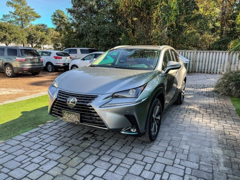 2019 Lexus NX 300 Wilmington NC