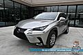 2019 Lexus NX 300h