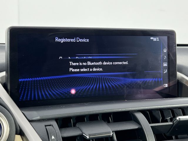 2019 Lexus NX 300h Raleigh NC