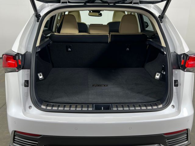 2019 Lexus NX 300h Raleigh NC