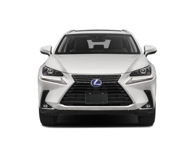 2019 Lexus NX 300h San Juan TX