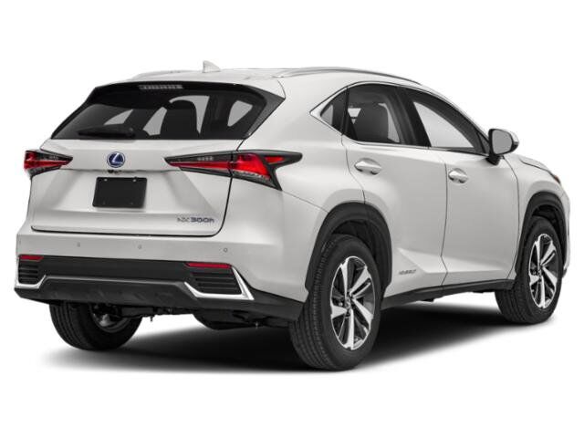 2019 Lexus NX 300h San Juan TX