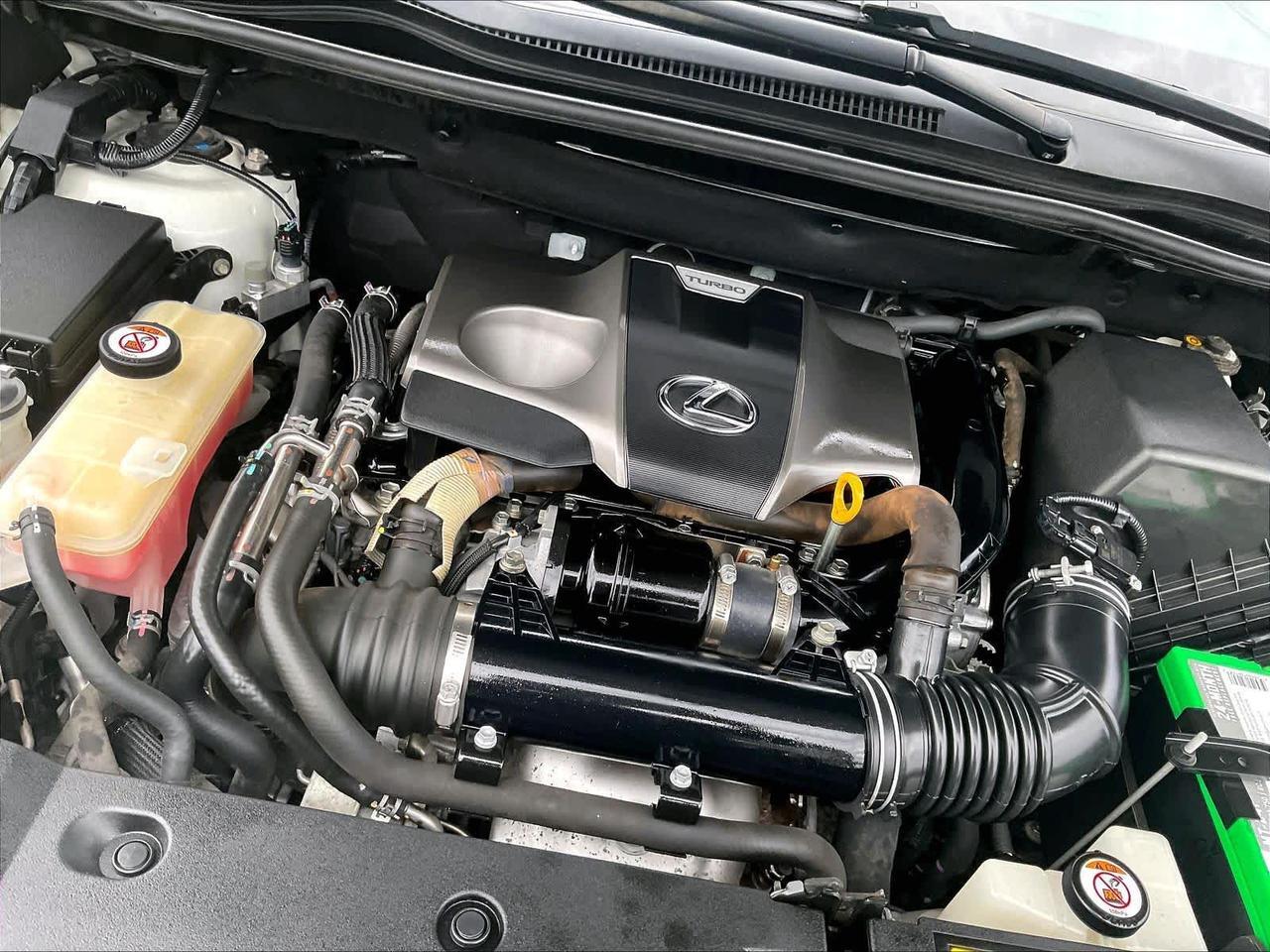 2019 Lexus NX F SPORT Roseville CA