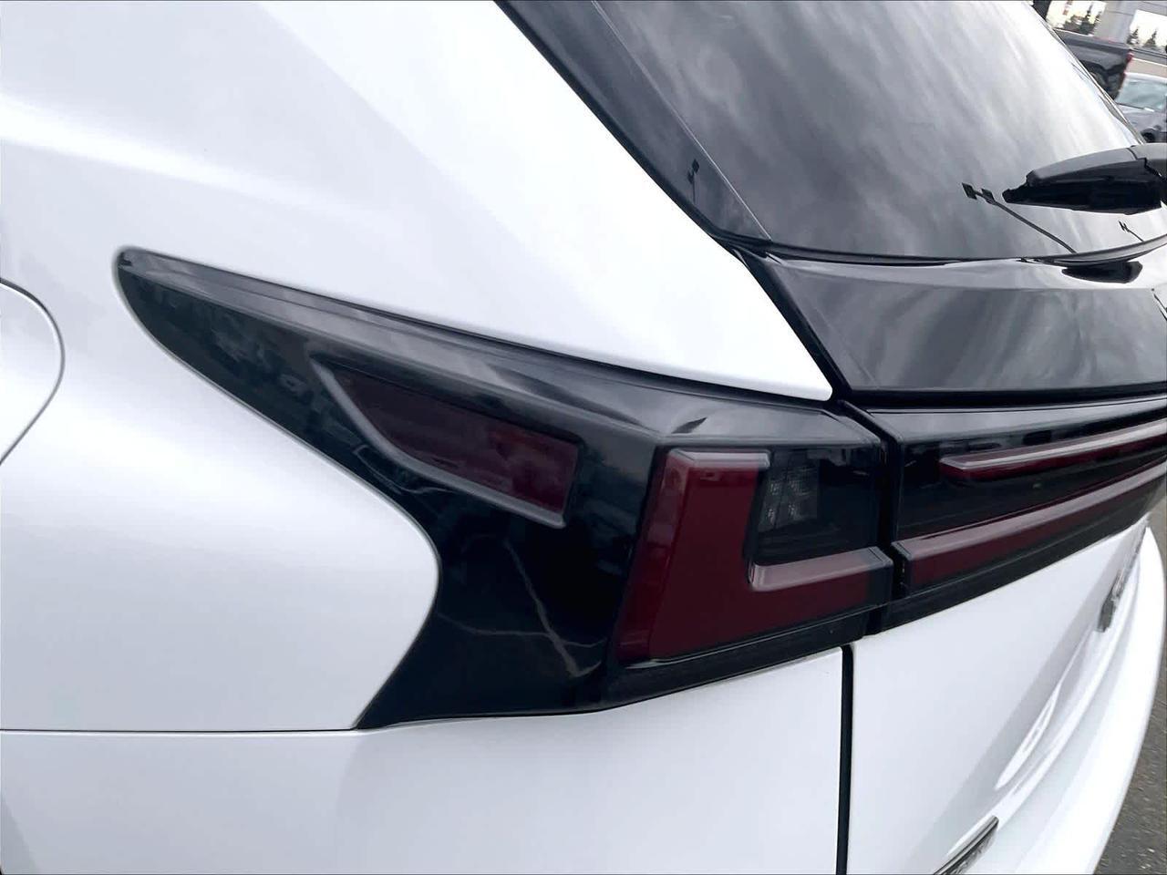 2019 Lexus NX F SPORT Roseville CA