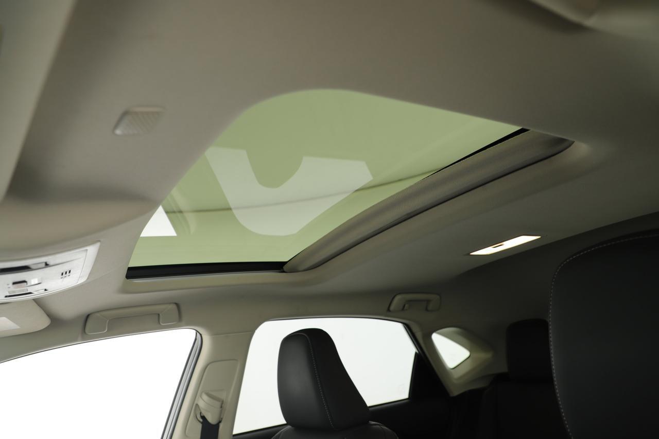 2019 Lexus NX LUXU New Braunfels TX